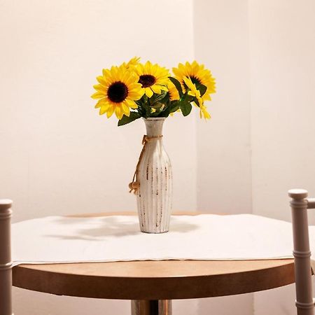 Diac Apartment Center Brasov Bagian luar foto
